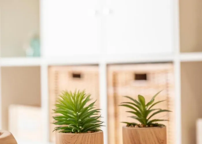 Vista Azul Apartamento